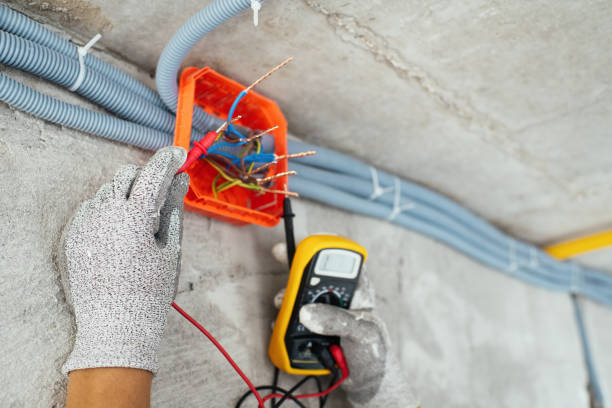 Best Outdoor Lighting Installation  in Rochester, MI
